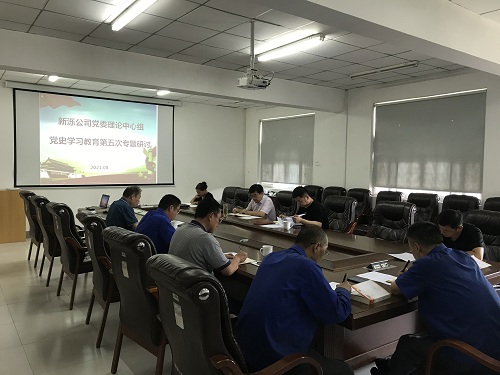 新泺公司召开党委理论学习中心组党史学习教育第五次专题研讨